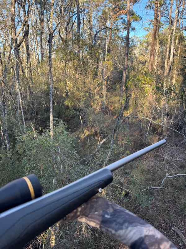 ISO Browning BLR 